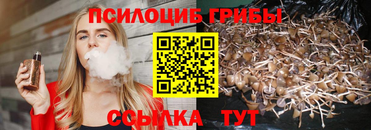 Галлюциногенные грибы мицелий  Галлюциногенные грибы мухоморы  Волгодонск  Вход с VPN 